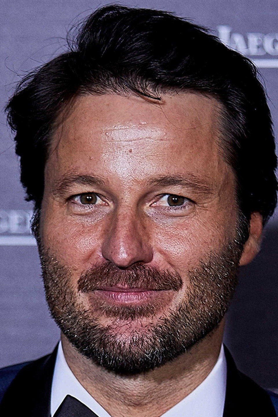Fernando Andina as Fernando Ribas in Gavilanes