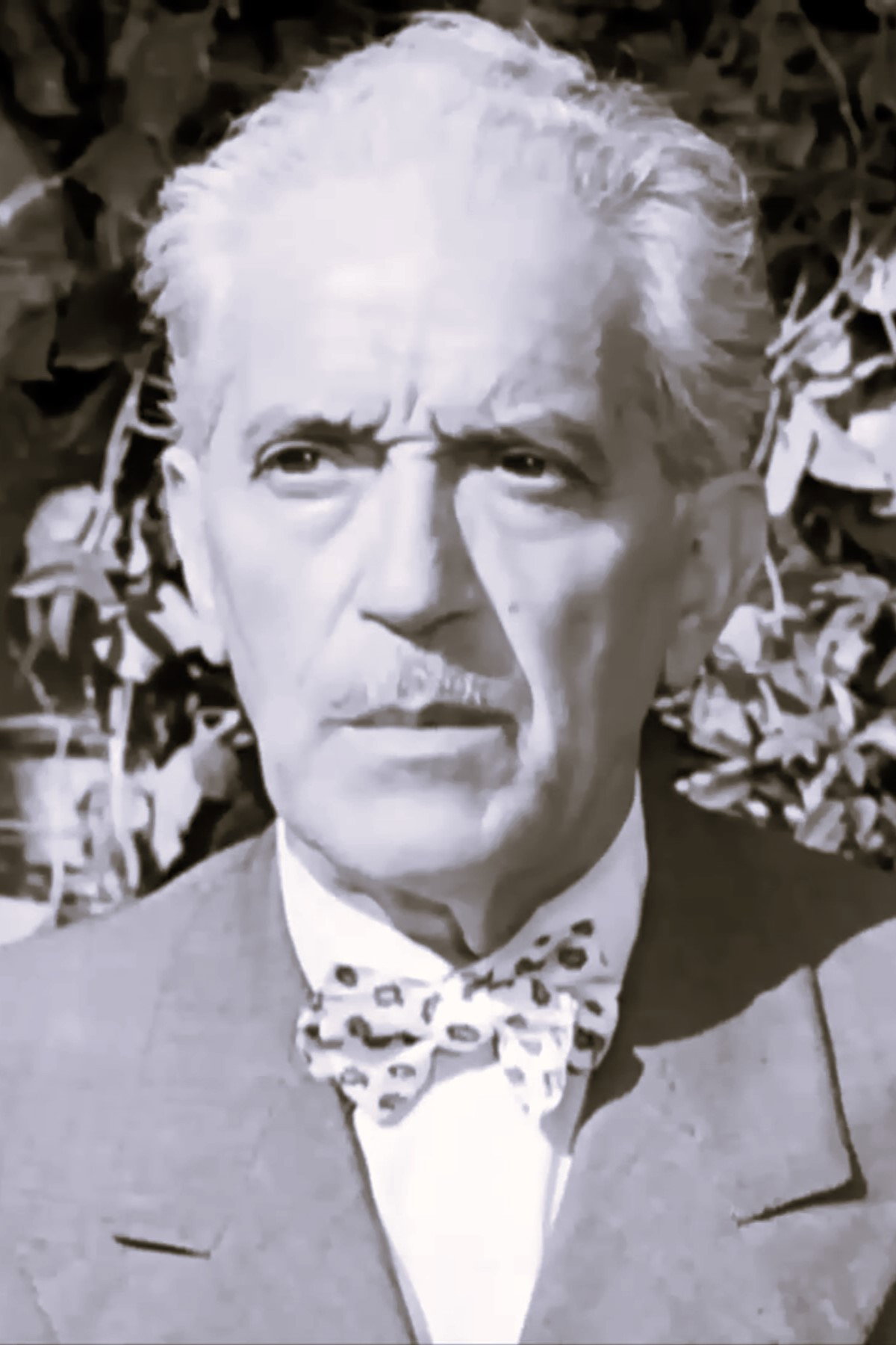 Raimondo Van Riel as Il vecchio zingaro in Il trovatore