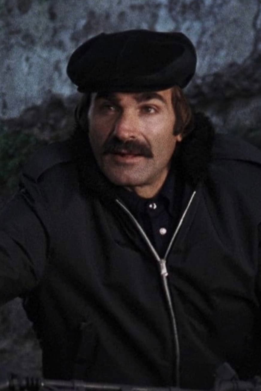 Marcello Verziera as Puncher in ...più forte ragazzi!