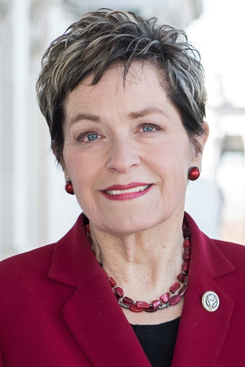 Marcy Kaptur as Self in Capitalism: A Love Story