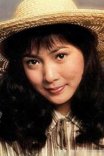 沈丹萍 as Wang Lanying in 燃情大地