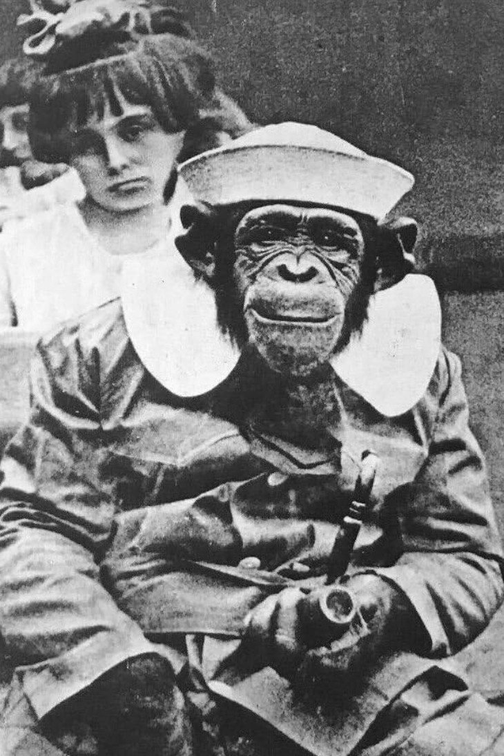 Mrs. Joe Martin as A Chimp in A Prohibition Monkey