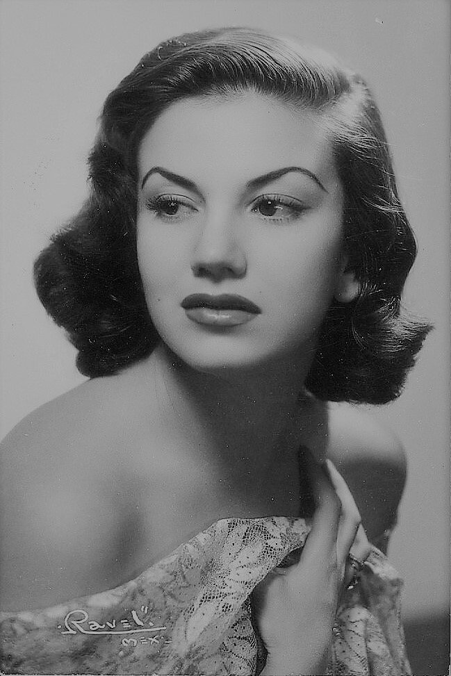 Ana Luisa Peluffo as Raquel in El seductor