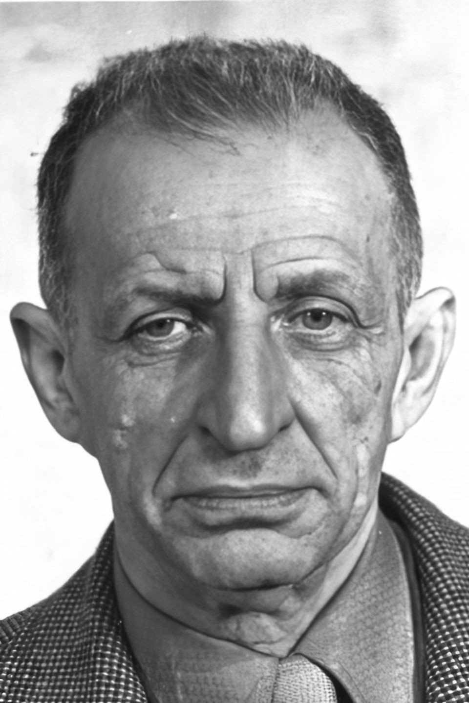 Rudolf Gołębiowski as Mieczysław Niedziałkowski in Wherever You Are, Mr. President
