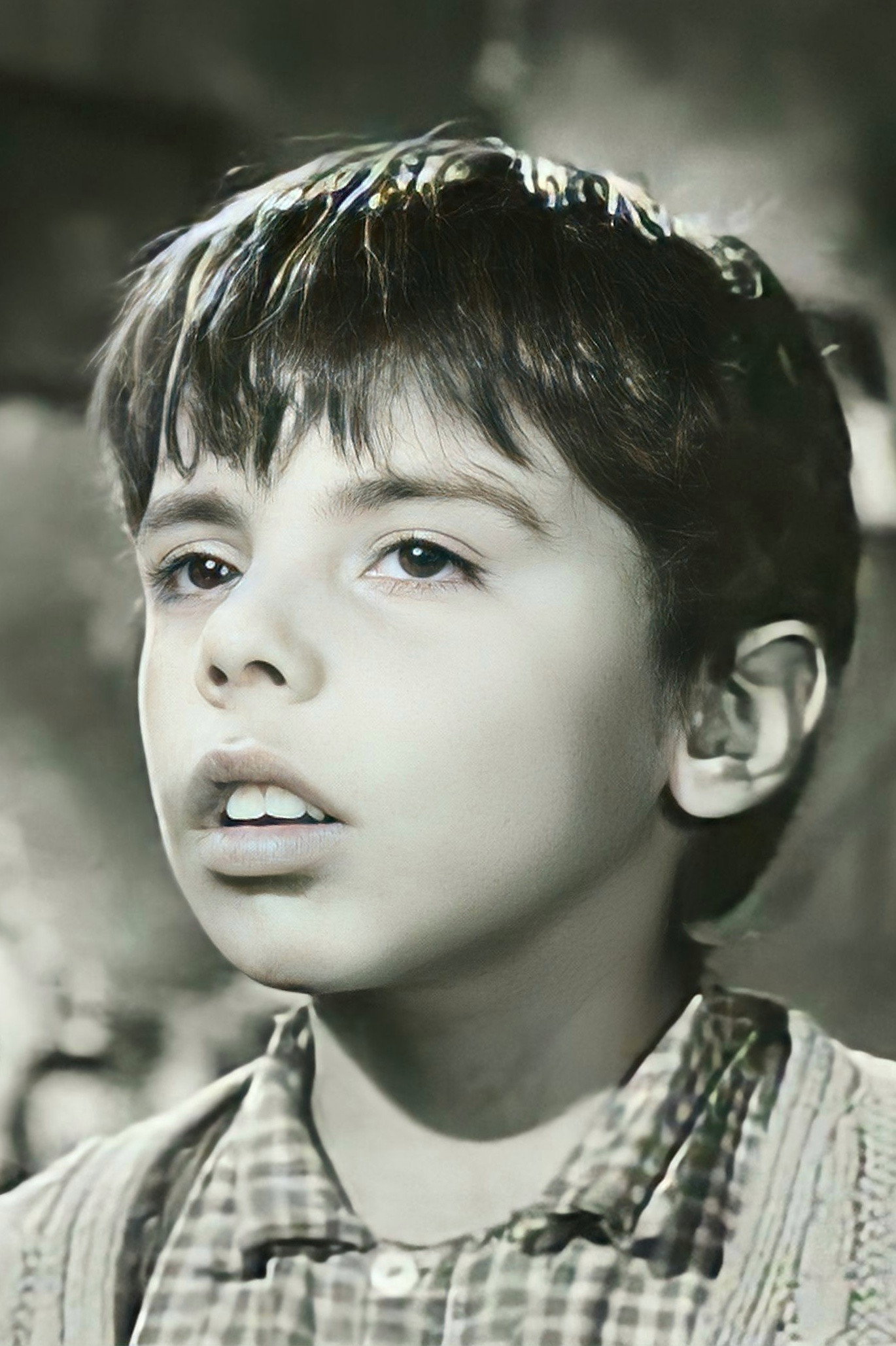 Enrique Luis Kaulen Downey as Boy in A Long Journey