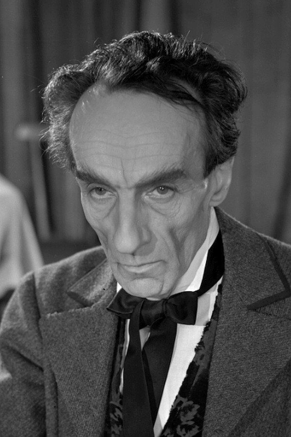 Roman Niewiarowicz as Walicki, actor in Insomniacs After School