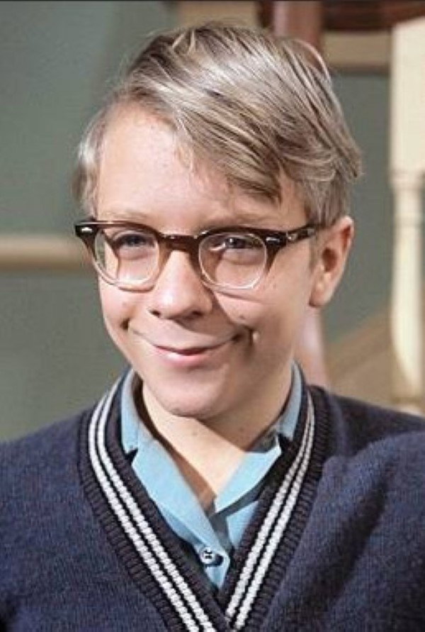 Paul O'Keefe as Ross Lane in The Patty Duke Show: Still Rockin' in Brooklyn Heights