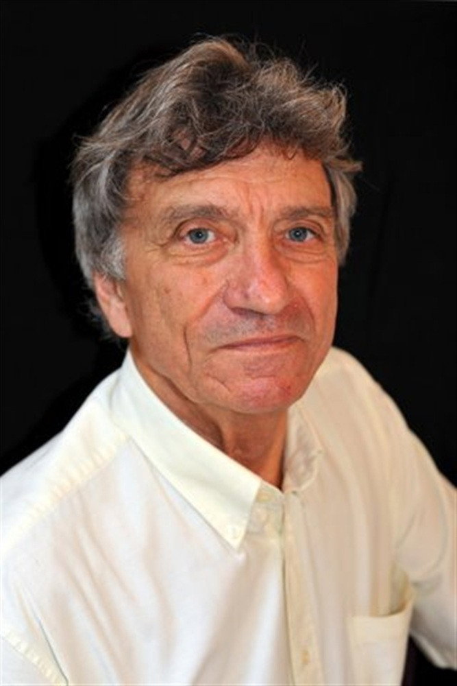 Loïc Pichon as Darius in 3 visages
