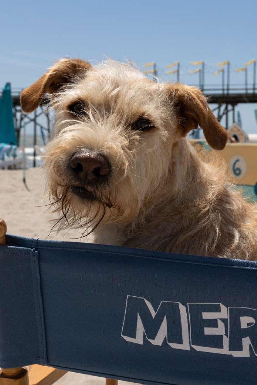 Gus as Merv in Merv