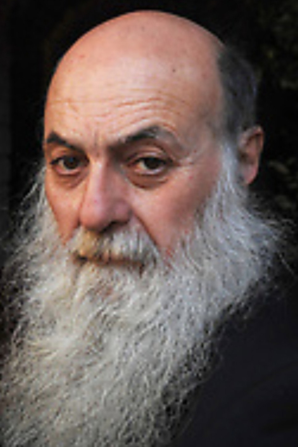 Paolo Zaccagnini as Paolo in I Am Self-Sufficient