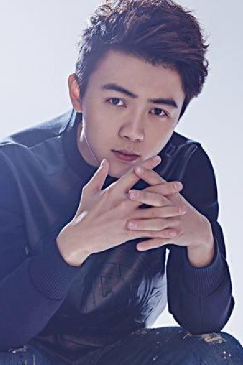 Yi Zhengfu as Zhu Bajie in Dream Journey 4: Biography of the Demon