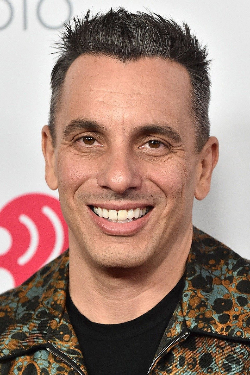 Sebastian Maniscalco as Danny Colavito in Bookie