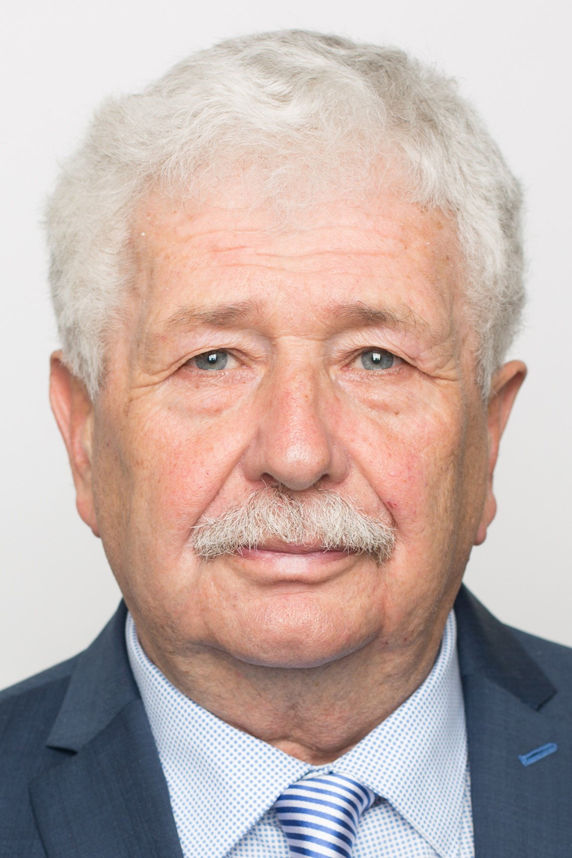 Václav Chaloupek as Václav Chaloupek in Méďové