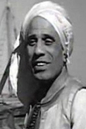 Mohamed Soliman as منصور السفرجى in ربيع الحب