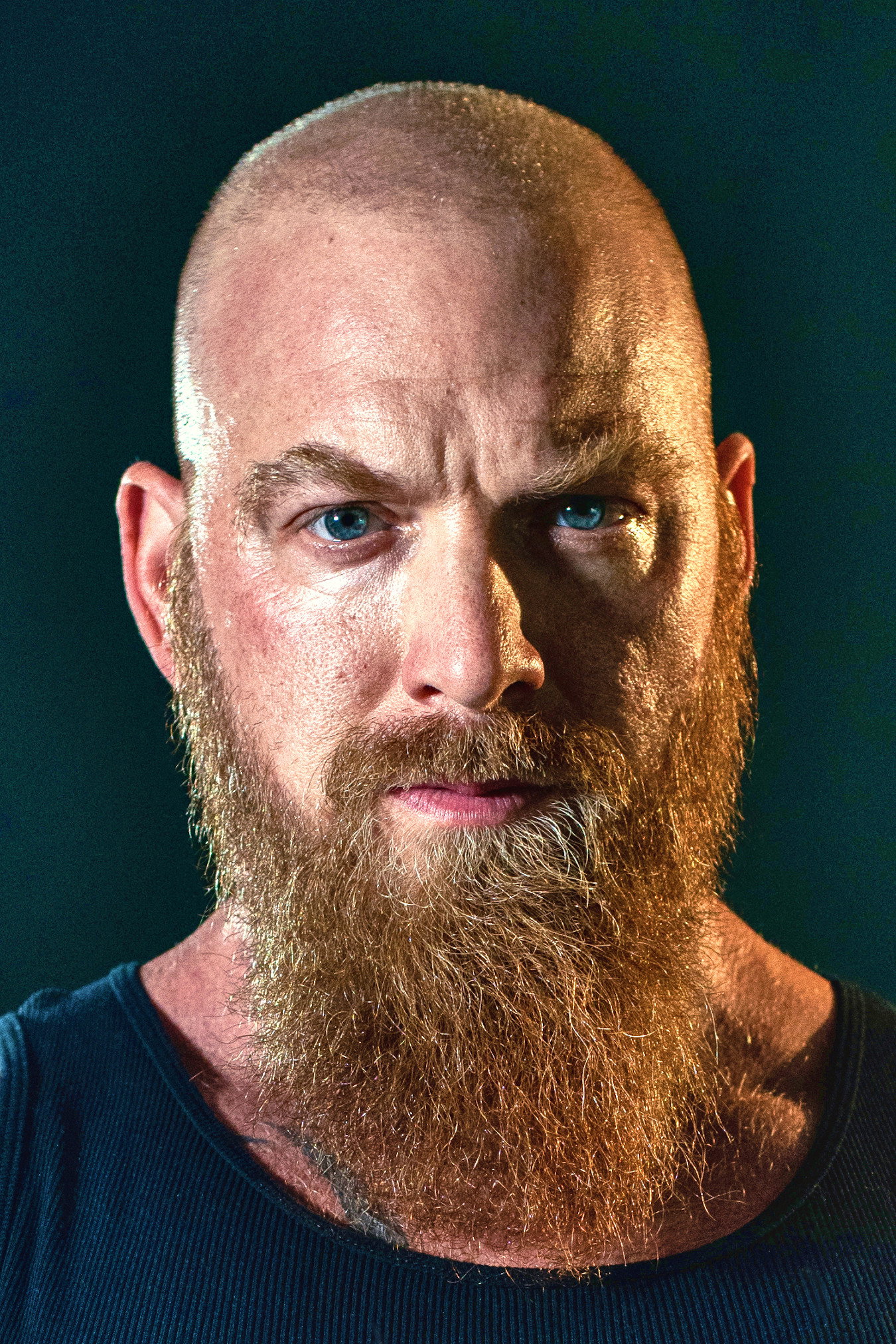 Adam Dunnells as Wilhelm in Mega Shark vs. Kolossus