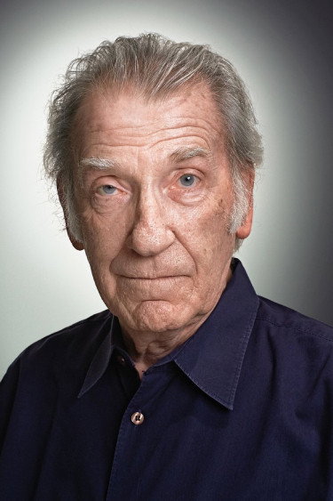 David Warner as The Man in Three