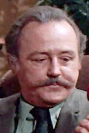 Michael Donovan O'Donnell as Drunk Customer in The Madam
