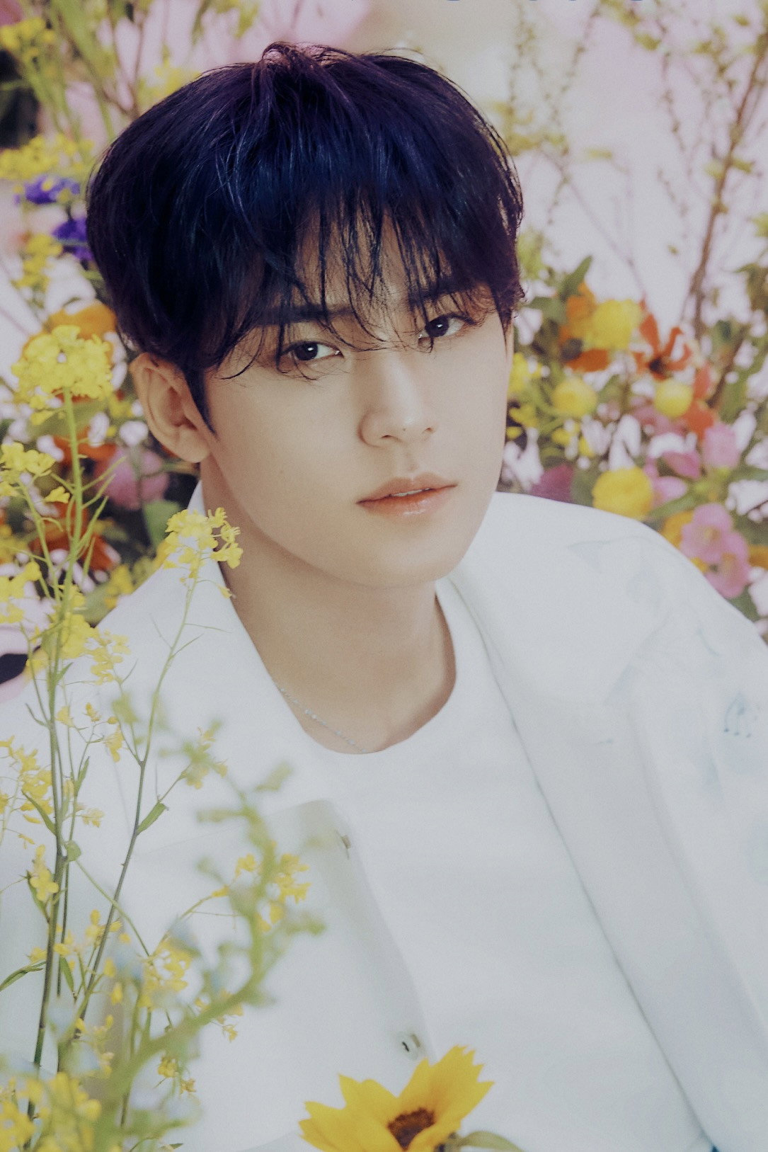 민규 as Self in NANA bnb with SEVENTEEN