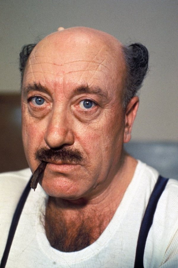 Armando Brancia as Don Pezzotta in Vinella e Don Pezzotta