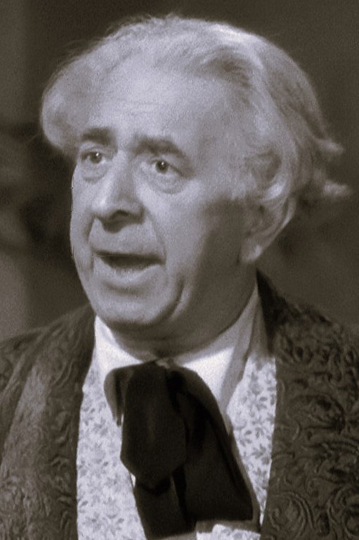 Emil Rameau as Mr. Stein in Lillis Ehe
