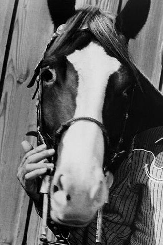 Champion as Gene's Horse in Pack Train