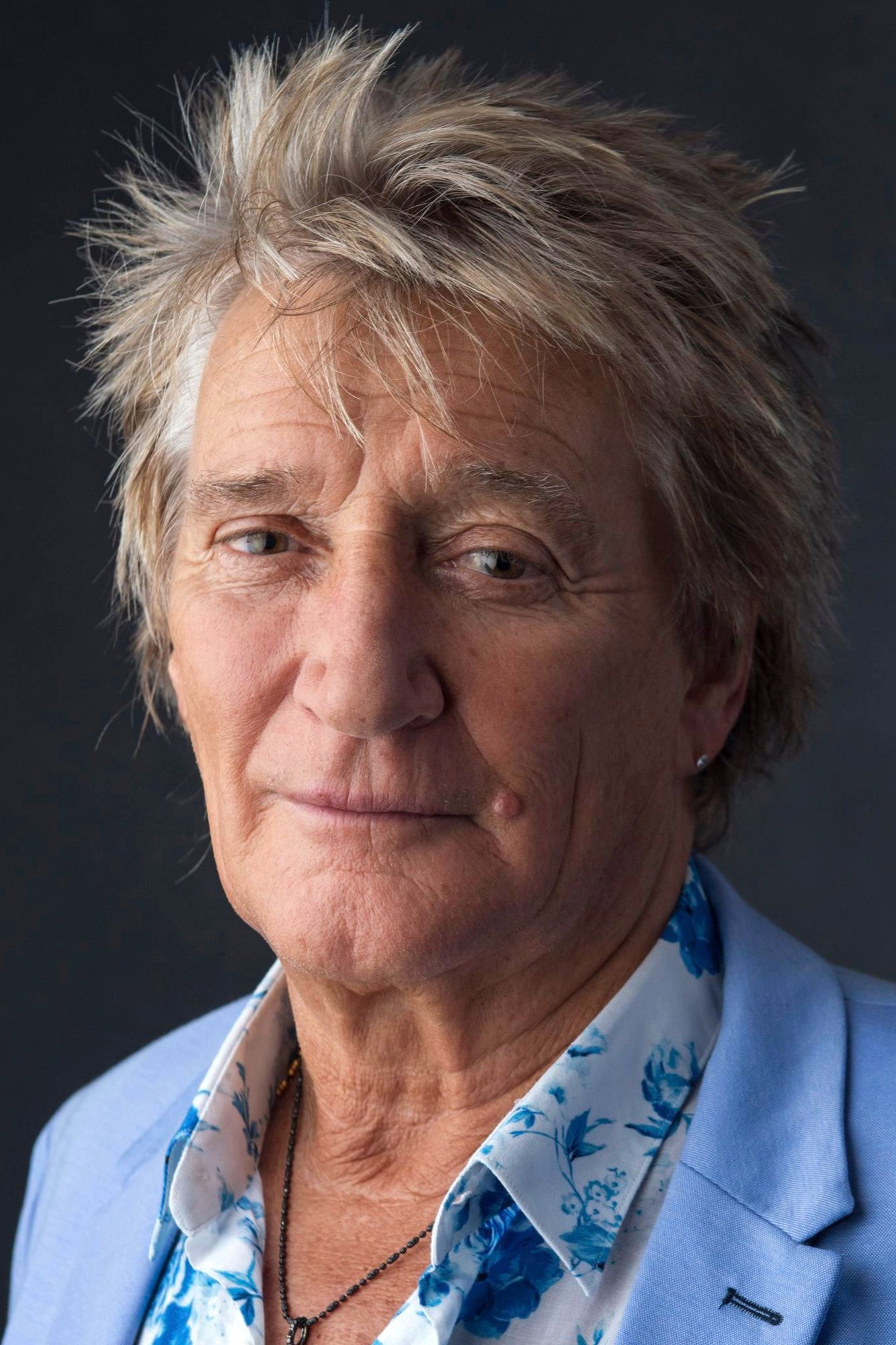 Rod Stewart as Self in Rod Stewart, le trublion de la pop anglaise