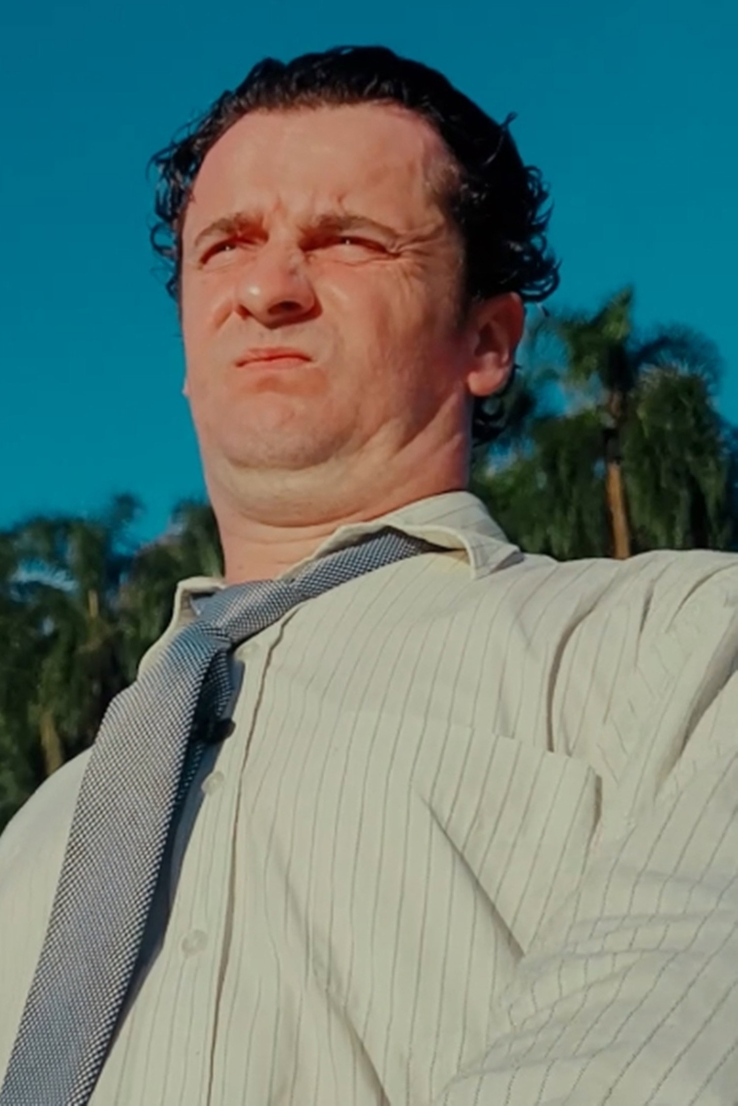 José Pignat as Ladrão 2 in Cão de Guarda