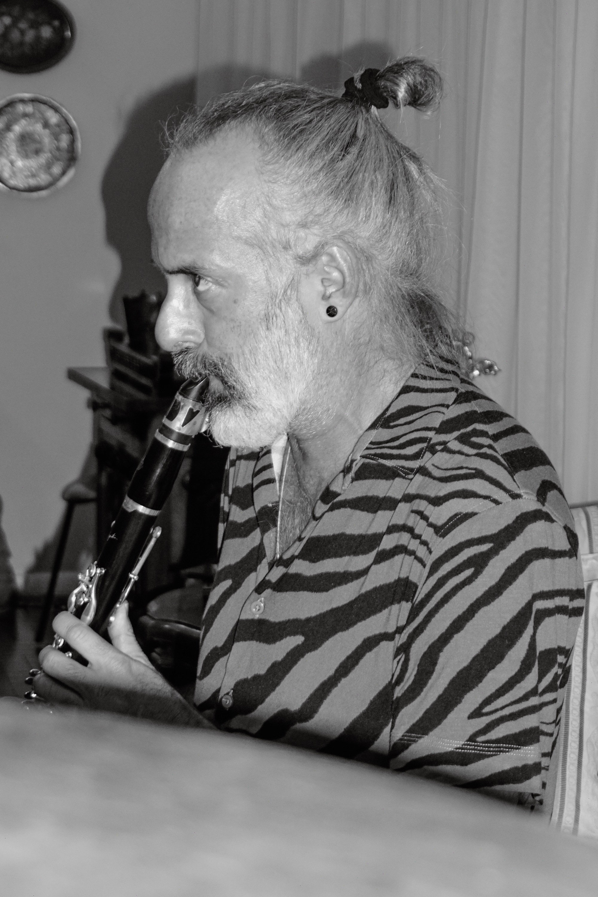 Luiz Rocha as Clarinet in To understand electrical wirings