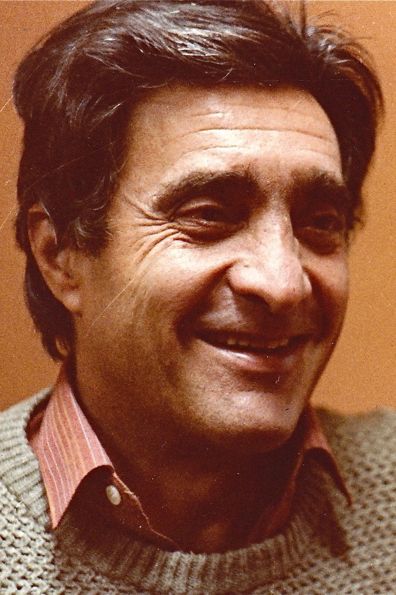 Martín Adjemián as Detective in Palermo Hollywood