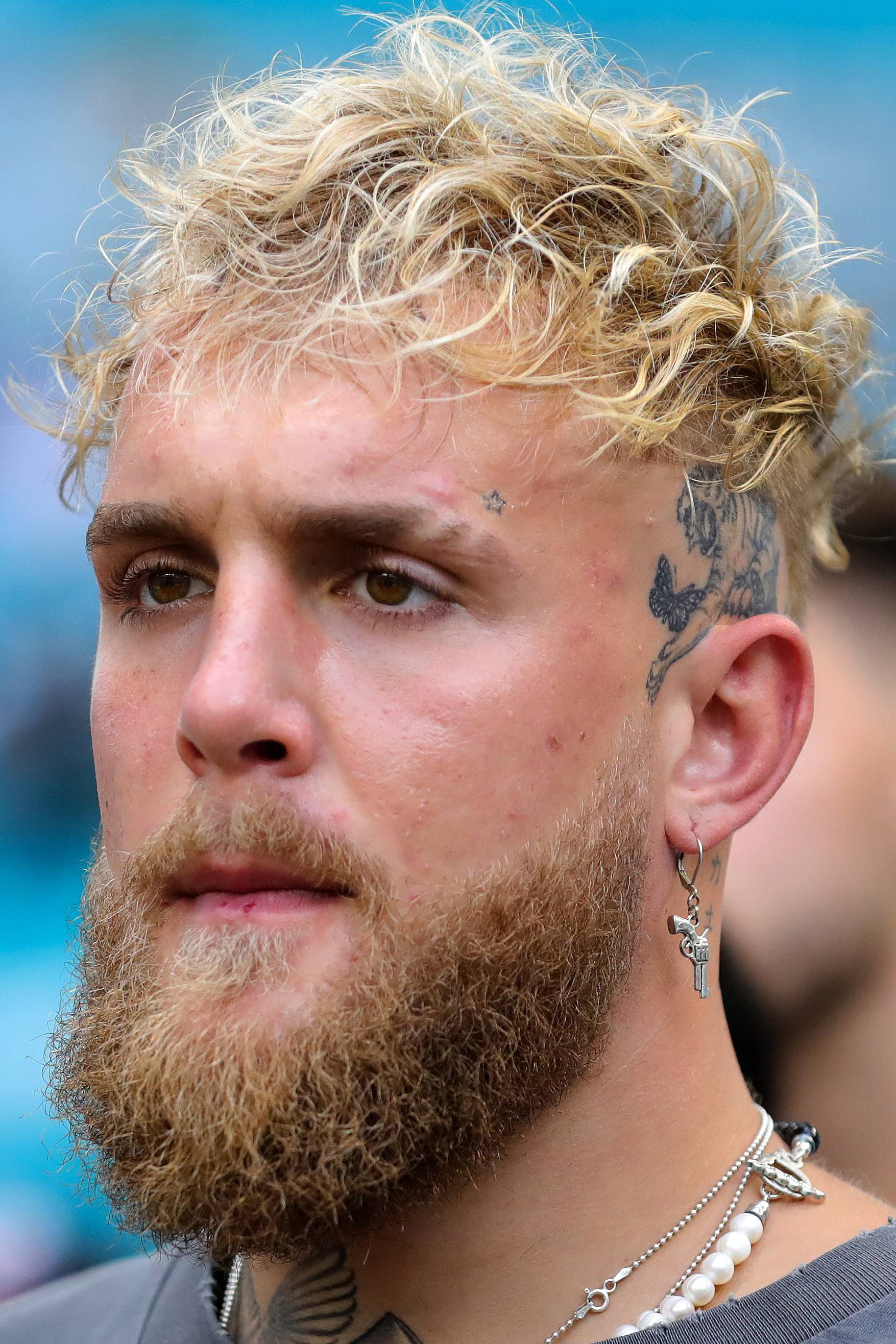 Jake Paul as Self in Fight of the Living Dead