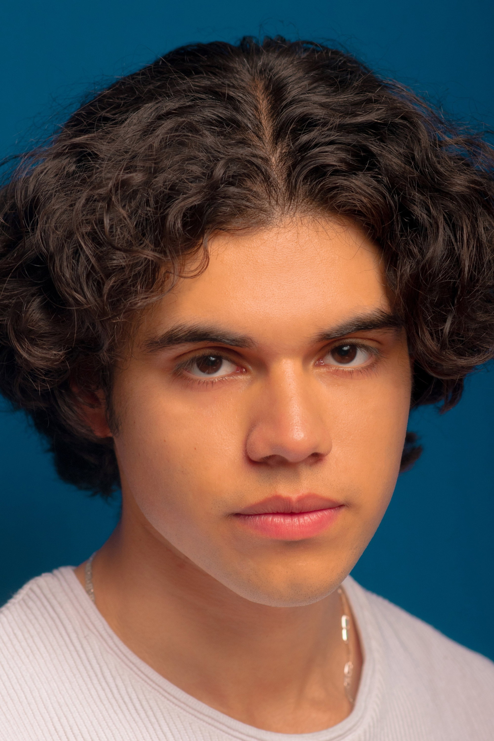 Fabian Xavier as The President in The Compound