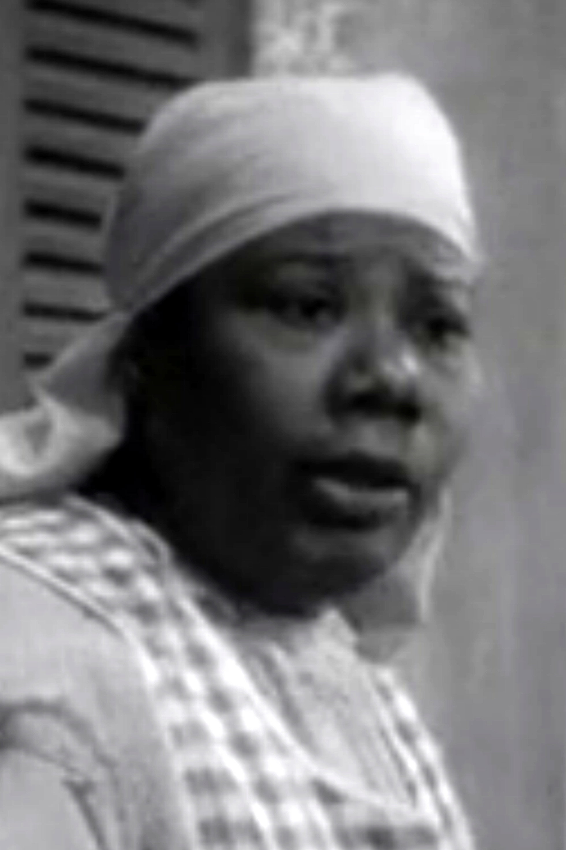 Anna Mae Fritz as Vocalist (voice) (uncredited) in Mrs. Ladybug