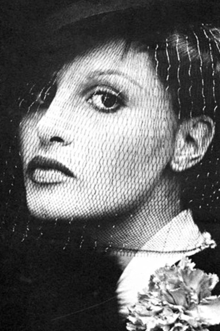 Apollonia van Ravenstein as Self in Model