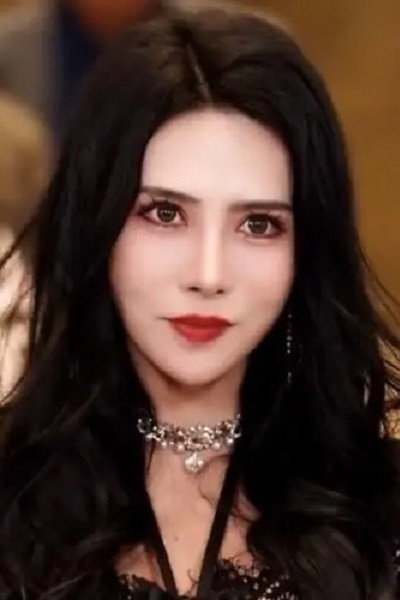 高蕊 as Wang Ting Ting [Ye Kong's ex-wife] in 独战天下