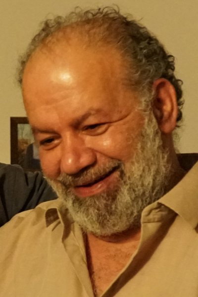Imad Abul-Foul as Hassan in Sons of Denmark