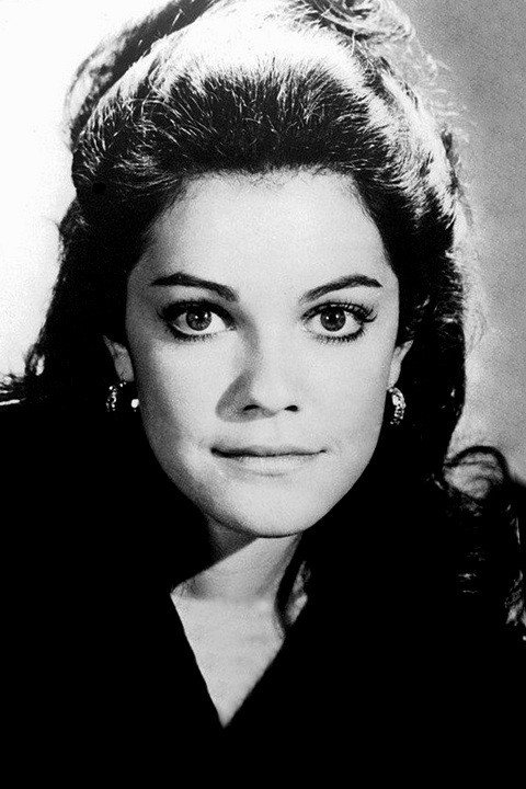 Julie Cobb as Katy in The D.A.