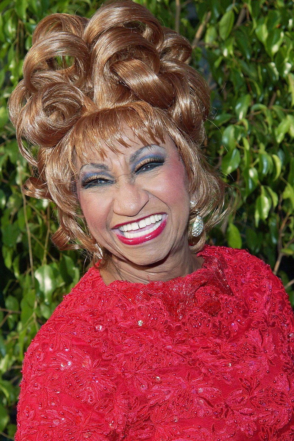 Celia Cruz as Self in Pa'l Pueblo: Fania for the People