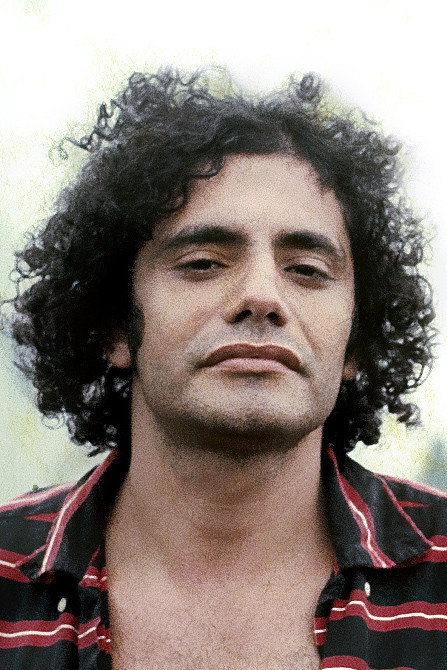 Waly Salomão as Self in HO
