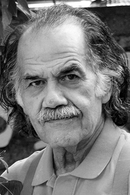 Cyrus Ebrahimzadeh as Professor Farid in Samad and Sami, Leyla and Lili