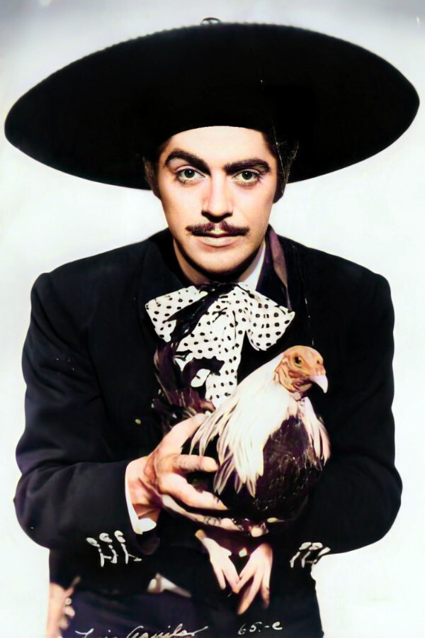 Luis Aguilar as Luis in Estampida