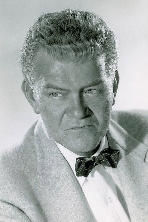 Jay C. Flippen as Sheriff Stew Singer in The Wild One