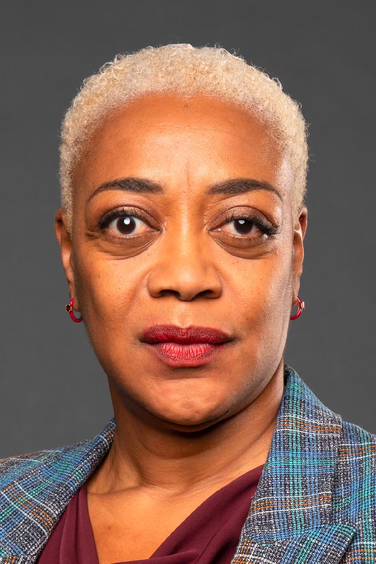 Karen Robinson as Insp. Vivienne Holness in Law & Order Toronto: Criminal Intent