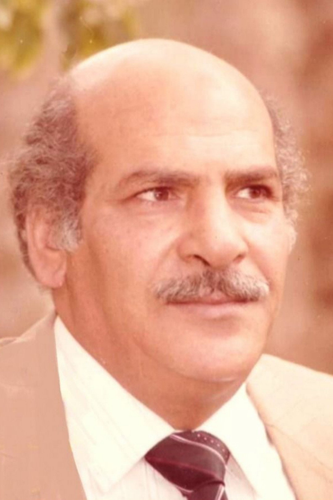 Hassan Abdeen as عارف in Suppose