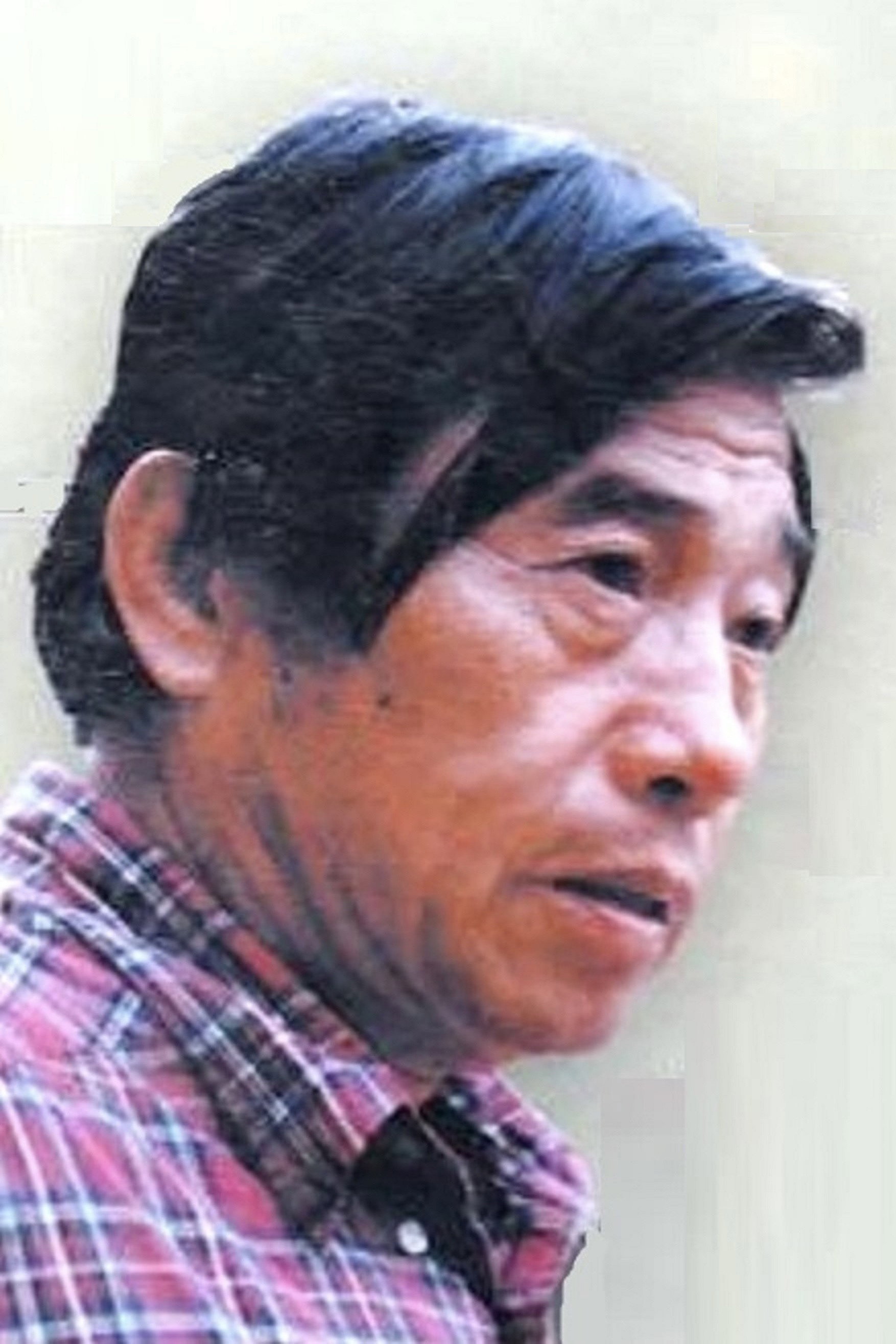 Zhang Gang as 导演 in 提心吊胆