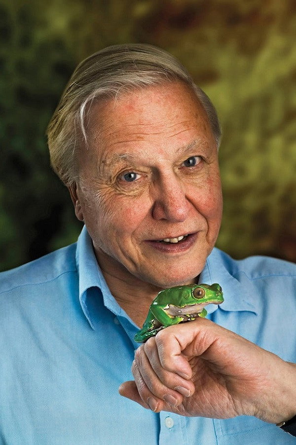 David Attenborough as Self - Narrator in Frozen Planet