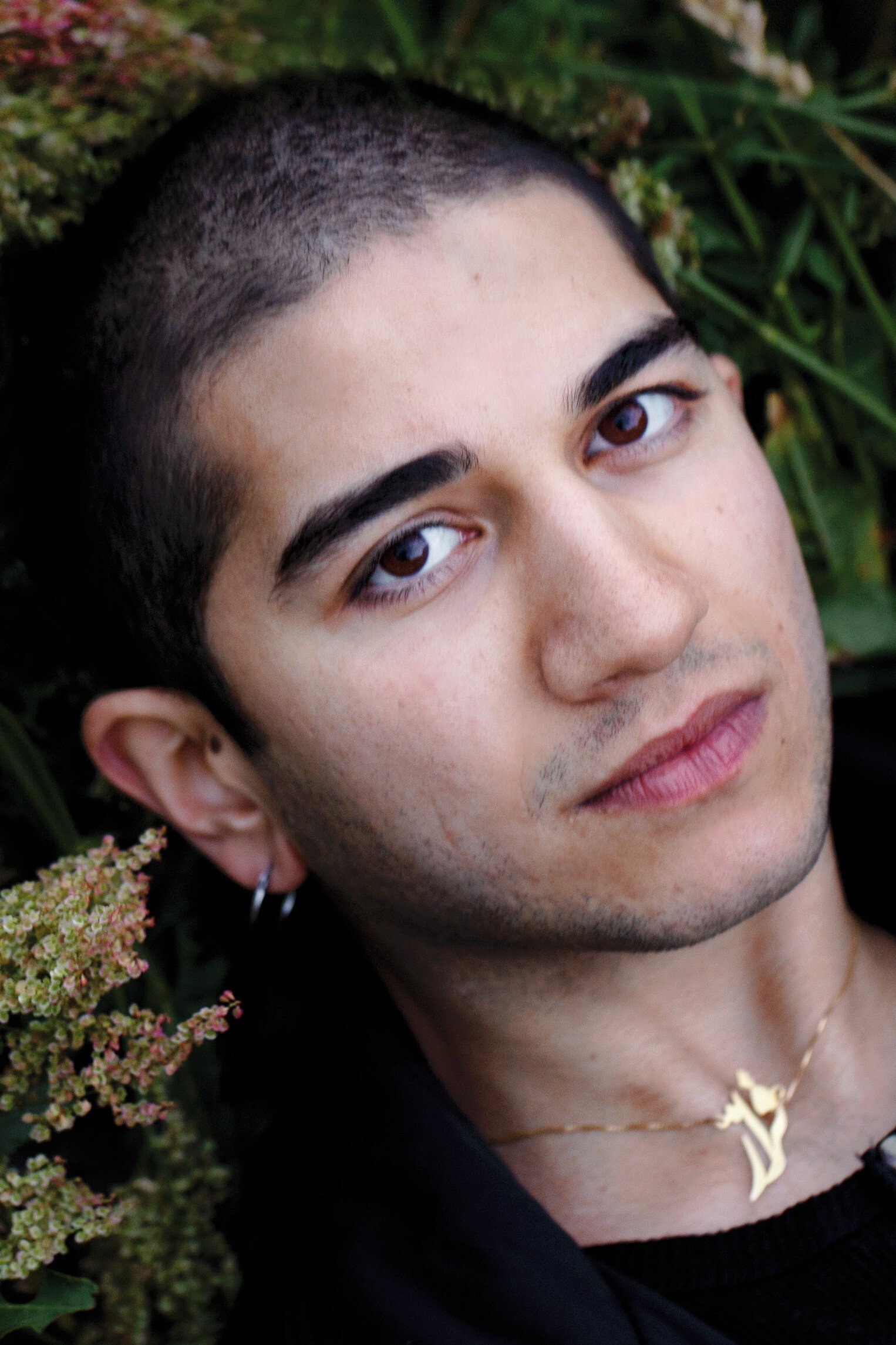 Faraz Shariat as as in Cut