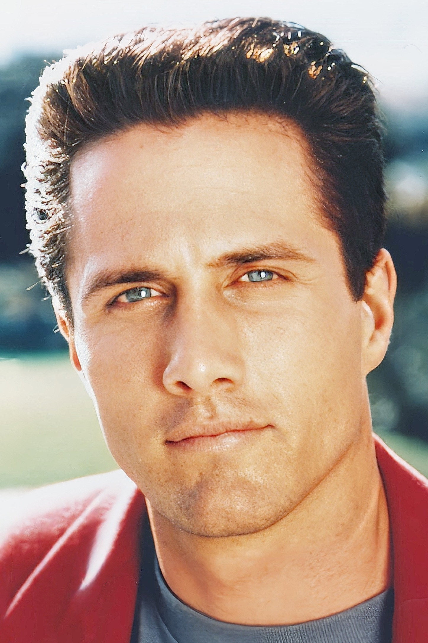 Rob Estes as Inspector Sean Cole in The Evidence