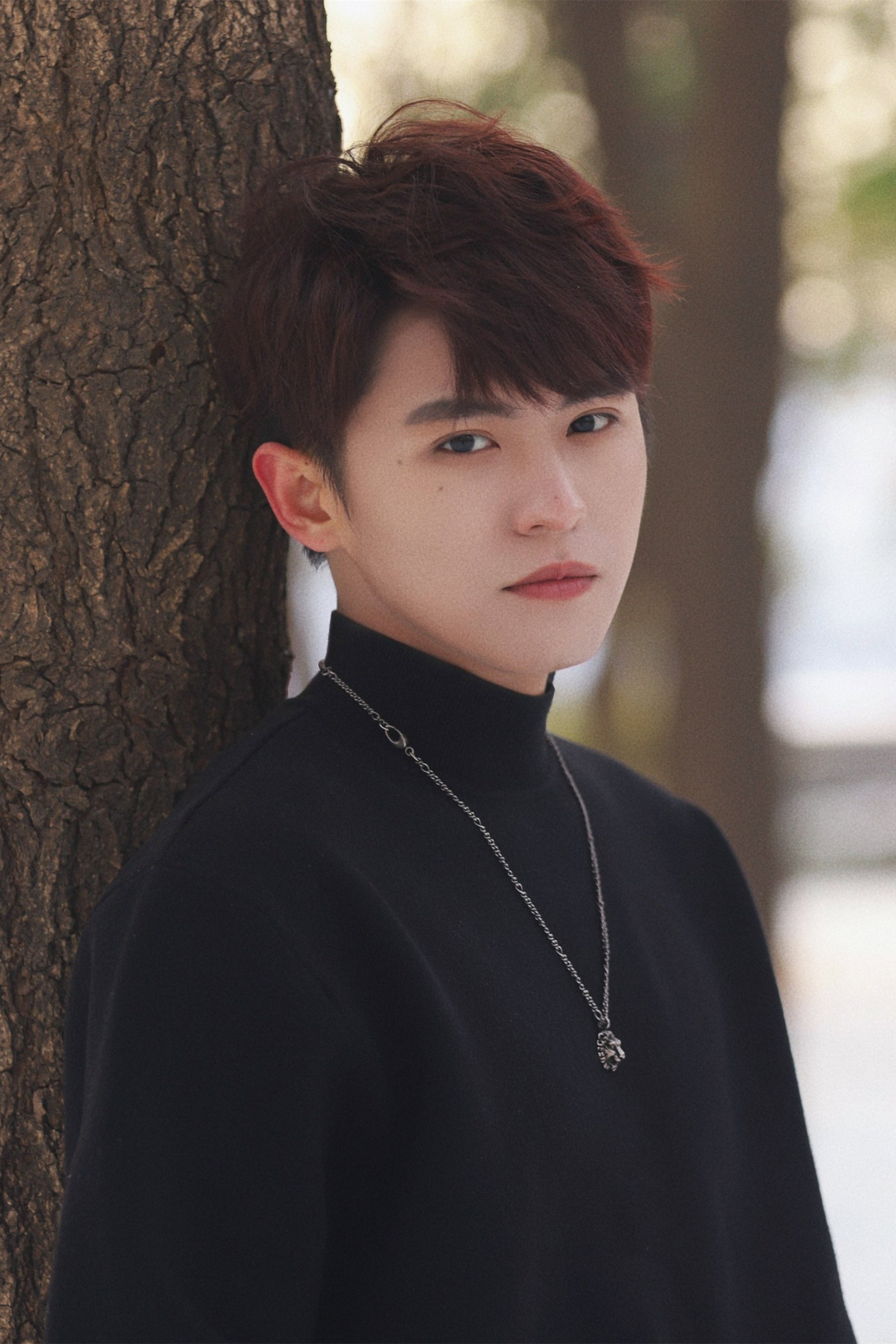 师子寻 as Liu Jun in The Princess and the Werewolf