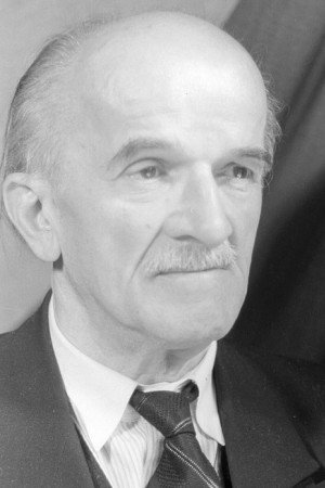 Ernst Legal as Mr. Strawman in Seven Slaps