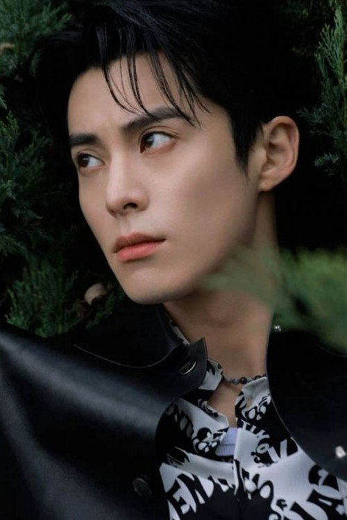 王鹤棣 as Dao Mingsi in Meteor Garden